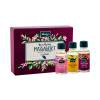 Kneipp Massage Oil Darilni set masažno olje Ylang-Ylang 20 ml + masažno olje 20 ml + masažno olje Almond blossoms 20 ml