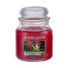 Yankee Candle Tropical Jungle Dišeča svečka 411 g