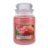 Yankee Candle Sun-Drenched Apricot Rose Dišeča svečka 623 g