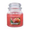 Yankee Candle Sun-Drenched Apricot Rose Dišeča svečka 411 g