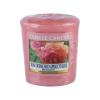 Yankee Candle Sun-Drenched Apricot Rose Dišeča svečka 49 g