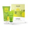 Weleda Citrus Darilni set krema za prhanje Citrus 200 ml + krema za roke Citrus 50 ml