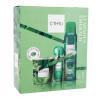 C-THRU Luminous Emerald Darilni set toaletna voda 30 ml + deodorant 150 ml + svečka
