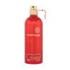 Montale Oud Tobacco Parfumska voda 100 ml tester