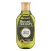Garnier Botanic Therapy Olive Mythique Šampon za ženske 250 ml