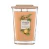 Yankee Candle Elevation Collection Tonka Bean &amp; Pumpkin Dišeča svečka 552 g