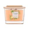 Yankee Candle Elevation Collection Tonka Bean &amp; Pumpkin Dišeča svečka 347 g