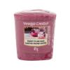 Yankee Candle Sweet Plum Sake Dišeča svečka 49 g