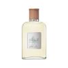 Ralph Lauren Polo Earth Antilles Vetiver Toaletna voda 100 ml