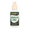 Purity Vision Pine Bio Water Losjon in sprej za obraz 100 ml