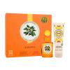 Monotheme Book of Citruses Zagara Darilni set toaletna voda 100 ml + gel za prhanje 100 ml