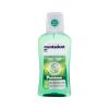 Mentadent Teeth and Gums Mint Ustna vodica 300 ml