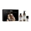 L&#039;Oréal Professionnel Absolut Repair Molecular Glacial Utopia Limited Edition Darilni set šampon Absolut Repair Molecular 300 ml + serum za lase Absolut Repair Molecular 250 ml + maska za lase Absolut Repair Molecular Professional Leave-In Mask 50 ml