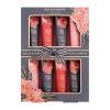 Baylis &amp; Harding Boudoire Tropical Paradise Darilni set krema za roke in nohte 8 x 30 ml