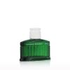 Laura Biagiotti Roma Uomo Green Swing Toaletna voda za moške 40 ml