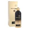 Montale Spicy Aoud Parfumska voda 100 ml