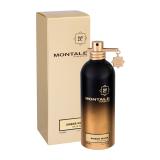 Montale Amber Musk Parfumska voda 100 ml