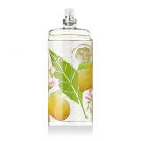 Elizabeth Arden Green Tea Citron Freesia Toaletna voda za ženske 100 ml tester