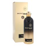 Montale Spicy Aoud Parfumska voda 100 ml
