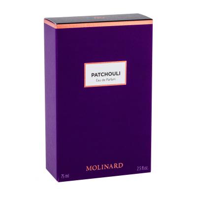 Molinard Les Elements Collection Patchouli Parfumska voda 75 ml poškodovana škatla