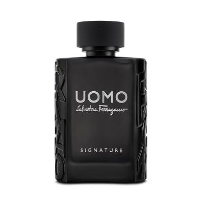 Ferragamo Uomo Signature Parfumska voda za moške 100 ml