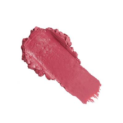 Revolution Pro New Neutral Satin Matte Lipstick Šminka za ženske 3,2 g Odtenek Struck