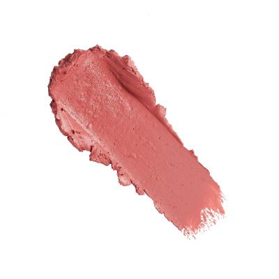 Revolution Pro New Neutral Satin Matte Lipstick Šminka za ženske 3,2 g Odtenek Tease