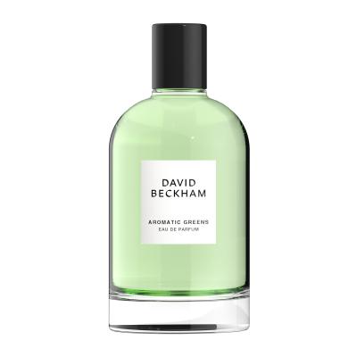 David Beckham Aromatic Greens Parfumska voda za moške 100 ml