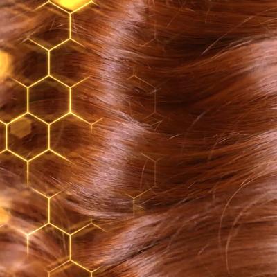 Garnier Botanic Therapy Honey &amp; Beeswax Šampon za ženske 400 ml