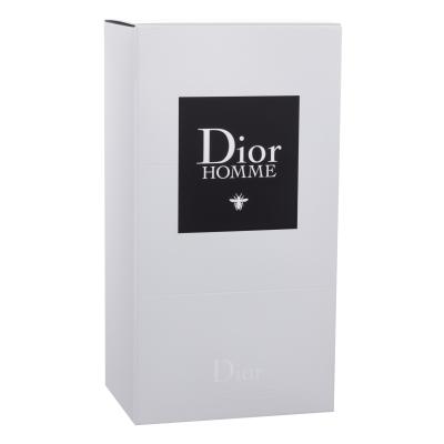 Christian Dior Dior Homme 2020 Toaletna voda za moške 150 ml