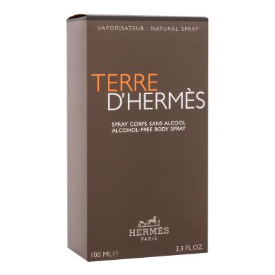 Hermes Terre d´Hermès Sprej za telo za moške 100 ml