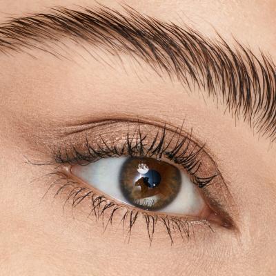Catrice Aloe Vera Eyeshadow Stick Senčilo za oči za ženske 1,5 g Odtenek 010 Golden Toffe