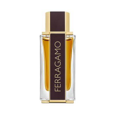 Ferragamo Ferragamo Spicy Leather Parfum za moške 100 ml