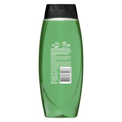 Radox Refreshment Menthol And Citrus 3-in-1 Shower Gel Gel za prhanje za moške 450 ml