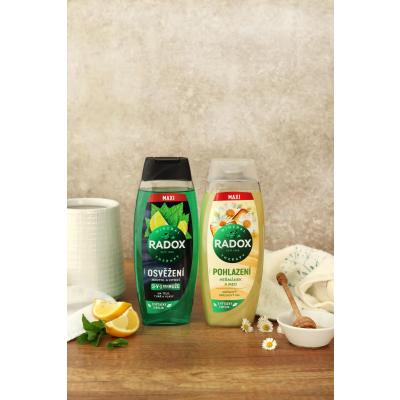 Radox Refreshment Menthol And Citrus 3-in-1 Shower Gel Gel za prhanje za moške 450 ml