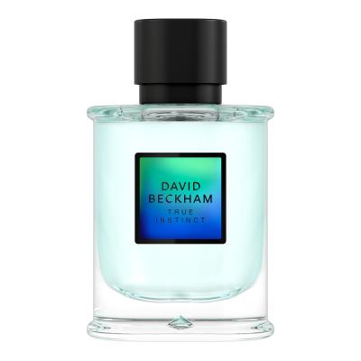 David Beckham True Instinct Parfumska voda za moške 75 ml