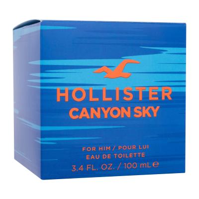 Hollister Canyon Sky Toaletna voda za moške 100 ml