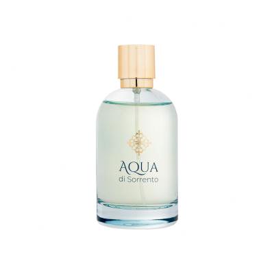 Aqua di Sorrento Posillipo Parfumska voda za moške 100 ml