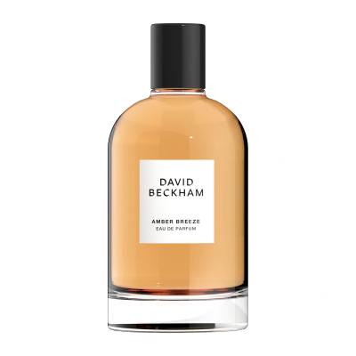 David Beckham Amber Breeze Parfumska voda za moške 100 ml