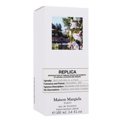Maison Margiela Paris Replica Springtime in a Park Toaletna voda 100 ml