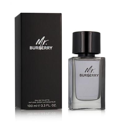 Burberry Mr. Burberry Toaletna voda za moške 100 ml