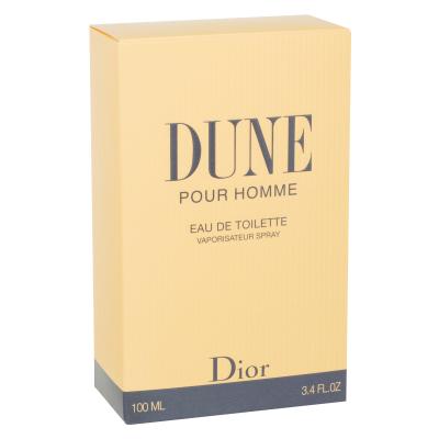 Christian Dior Dune Pour Homme Toaletna voda za moške 100 ml