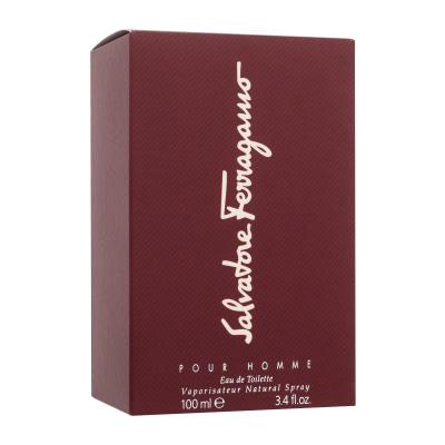 Ferragamo Pour Homme Toaletna voda za moške 100 ml