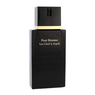 Van Cleef &amp; Arpels Pour Homme Toaletna voda za moške 100 ml