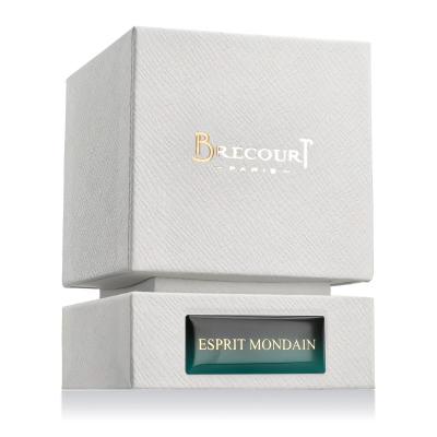 Brecourt Esprit Mondain Parfumska voda za moške 50 ml