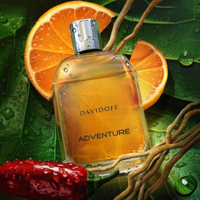 Davidoff Adventure Toaletna voda za moške 100 ml