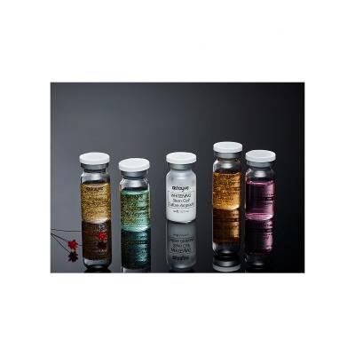 Stayve Booster Starter Kit Darilni set serum za obraz Whitening Stem Cell Culture Ampoule 3 x 8 ml + serum za obraz Aqua Stem Cell Culture Ampoule 3 x 8 ml + serum za obraz EGF Peptide Gold Ampoule 2 x 8 ml + serum za obraz Salmon DNA 2 x 8 ml + serum za obraz AC Stem Cell 2 x 8 ml