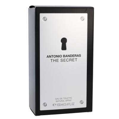 Antonio Banderas The Secret Toaletna voda za moške 100 ml