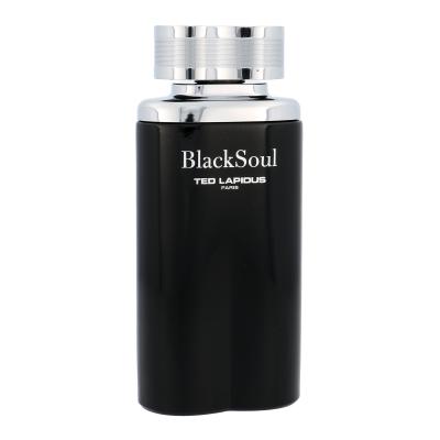 Ted Lapidus Black Soul Toaletna voda za moške 100 ml