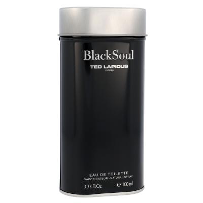 Ted Lapidus Black Soul Toaletna voda za moške 100 ml